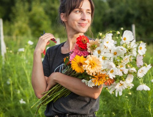 Katharina Reckendorfer: Flowerpower